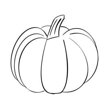 Beyaz arka planda izole edilmiş siyah hatlı balkabağı vektör illüstrasyonu. Sevimli basit el çizimi sonbahar hasat dekoratif tasarım elementi sebze silueti