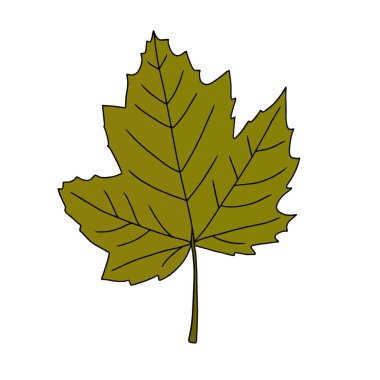 Beyaz arkaplanda izole edilmiş parlak turuncu ve kahverengi suluboya akvaryum sanatsal akçaağaç yaprağı çizimi. Sonbahar tasarımı için tasarım öğesi. Sonbahar grafik sanatı.