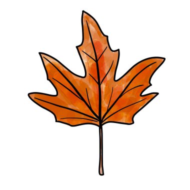 Açık turuncu, kırmızı ve kahverengi suluboya akvaryum sanatsal akçaağaç yaprağı ve beyaz arka planda izole edilmiş vektör çizimi. Sonbahar tasarımı için tasarım öğesi. Sonbahar grafik sanatı