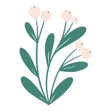 Beyaz böğürtlen ökseotu çiçek tasarımı elementi. Noel klibi sanatı. Holly Böğürtlen dalı, beyaz arka planda izole bir şekilde çizilmiş. Vektör illüstrasyonu