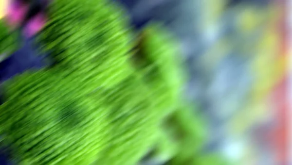 Doğal çiçekler soyut bokeh arkaplanı ile koyu ve soluk, bulanık fotoğraf.