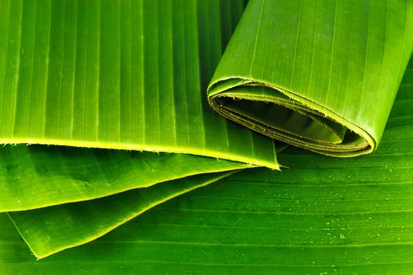 Hojas de plátano —  Fotos de Stock