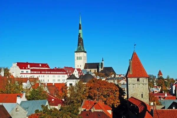 Oleviste kyrkan och Tallinn panorama — Stockfoto