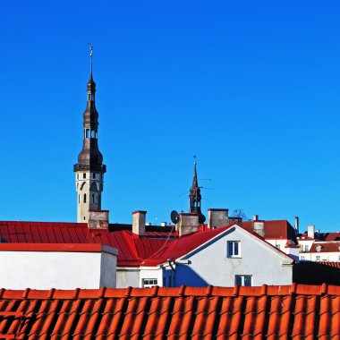 Belediye Binası Kulesi ve sonbaharda Tallinn çatılar