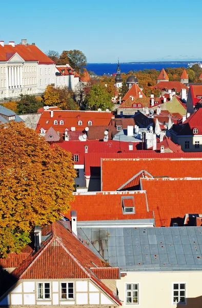 Красные крыши Таллинна осенью — стоковое фото