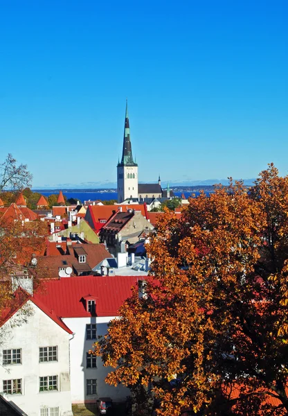 Tallinn cidade velha e Oleviste panorama da igreja — Fotografia de Stock