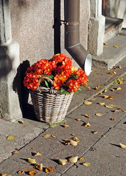 A red flower basket in autumn — Stock Photo, Image