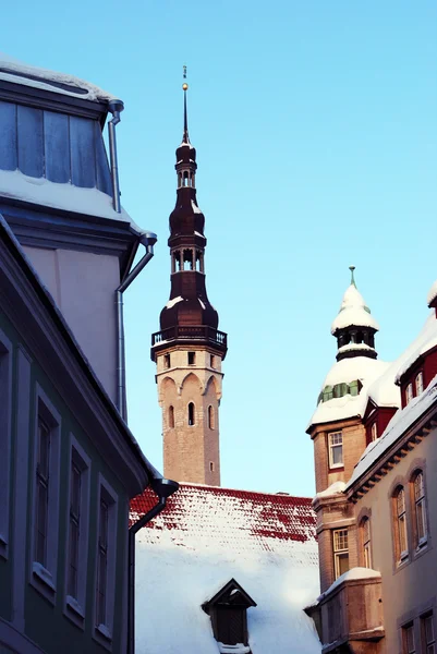 Câmara Municipal em Tallinn — Fotografia de Stock