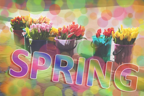 Frühling mehrfarbig Hintergrund — Stockfoto