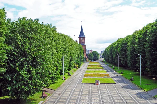 Kathedrale in Kaliningrad — Stockfoto