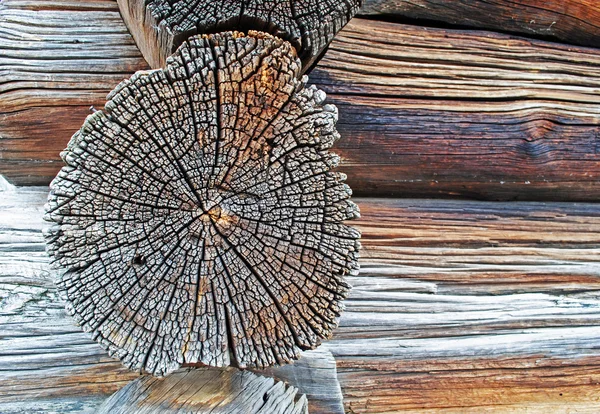 Aufgebrochene Baumstämme — Stockfoto