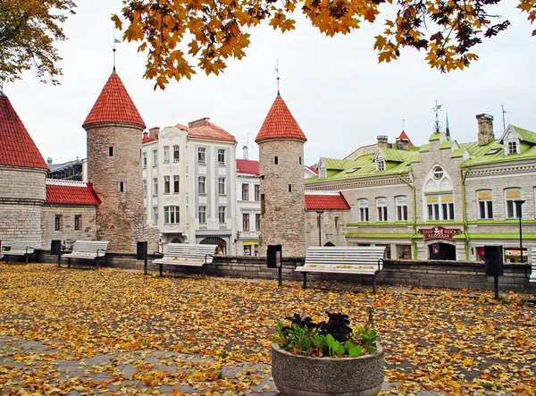 Viru Gate i Tallinn — Stockfoto