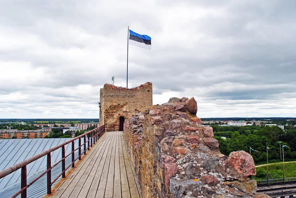 Estnische Fahne auf dem Turm der Burg Rakvere — Stockfoto