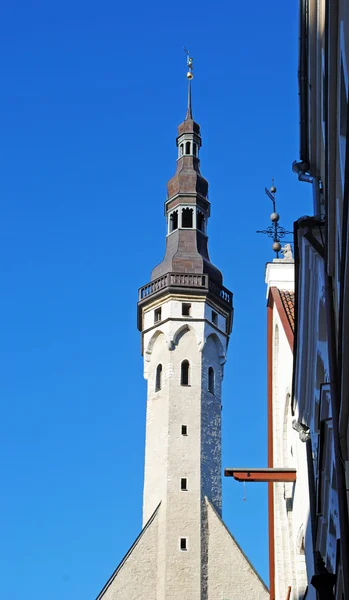 タリンの市庁舎の塔 — ストック写真