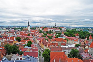 Tallinn Merkezi Görünümü