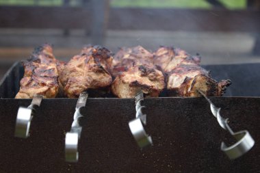 İştah açıcı et, barbekü, doğada piknik, kapat.