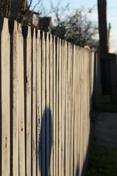 Een hek van ruwweg verwerkte planken. Een palissade van ruwe houtblokken. Zonnestralen, zonnige dag — Stockfoto
