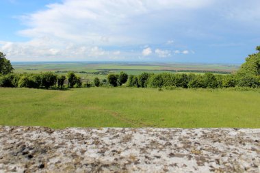 Çimenlerle, çiçeklerle ve ön planda çimento çitleri olan ağaçlarla dolu yaz tarlası.
