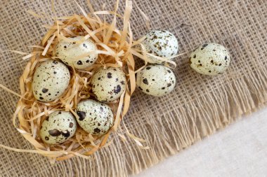 Bıldırcın yumurtalı kase, ev yapımı peçetede yumurtalar, arka planda boxwood, dar odak çizgisi, sığ alan derinliği