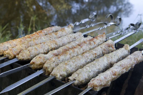 Lula Kebab在野餐烤架上的烹调 背景模糊 — 图库照片