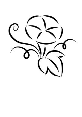 Beyaz arkaplanda güzel bir çiçek, vektör illüstrasyonu 