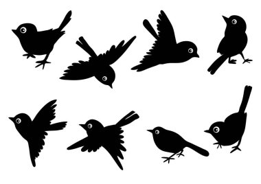 Kuşların ve hayvanların vektör çizimleri.