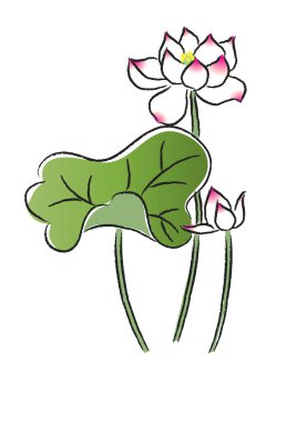 Bir nilüfer çiçeğinin vektör çizimi