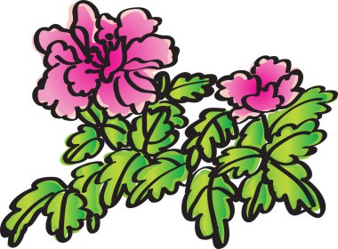 Çiçekler ve bitkilerle illüstrasyon