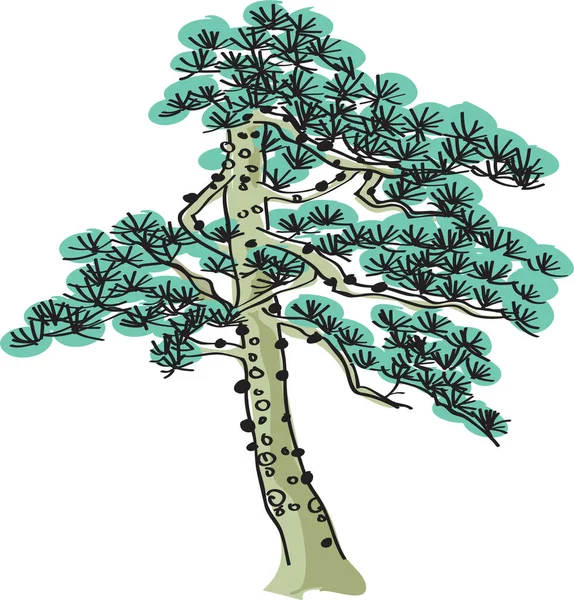 Ilustración Vectorial Árbol Con Una Planta Verde — Archivo Imágenes Vectoriales