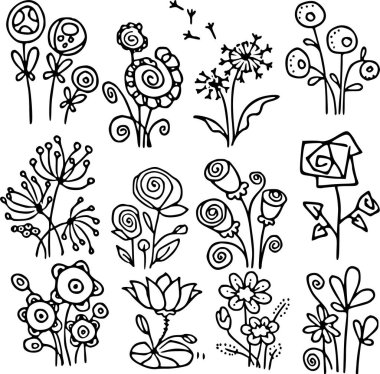 Siyah ve beyaz çiçekler.