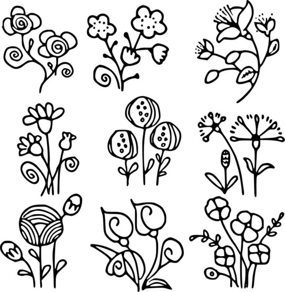 黒と白の花のセット — ストックベクタ