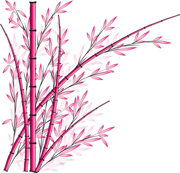 Illustrazione Vettoriale Bambù — Vettoriale Stock