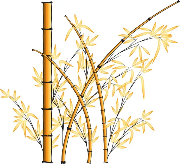 Vektor Illustration Bambu — Stock vektor