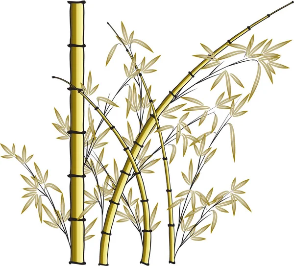 Векторная Иллюстрация Бамбука — стоковый вектор
