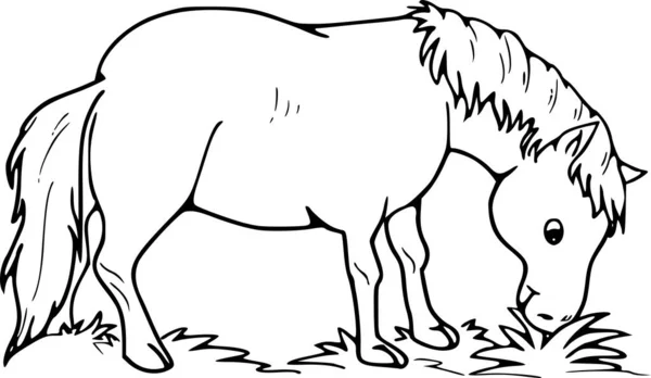 Vektorillustration Eines Pferdes — Stockvektor