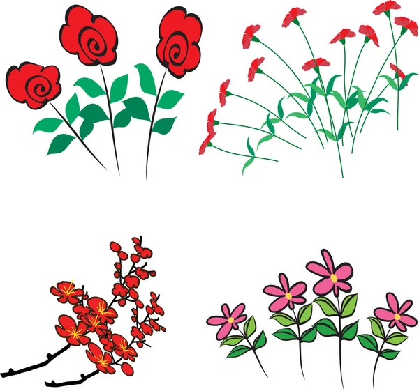 Illustration Vectorielle Une Fleur Rouge Blanche — Image vectorielle
