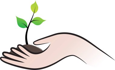 Bir bitkiyi tutan el.