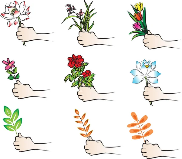 Uppsättning Hand Med Blommor Vektor — Stock vektor