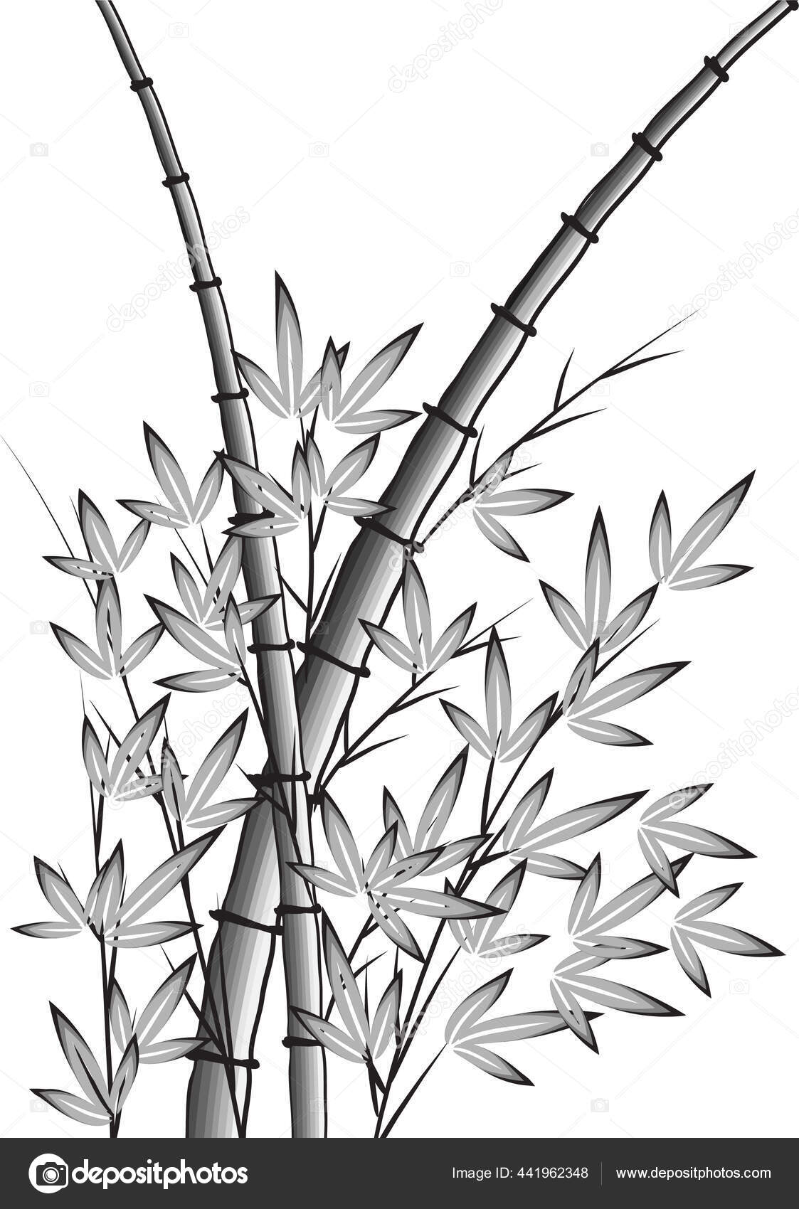 Vector Illustration Bamboo Stock Vector by ©wenpei 441962348, image size:1123x1700