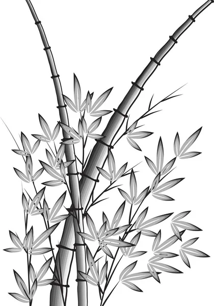 Векторная Иллюстрация Бамбука — стоковый вектор