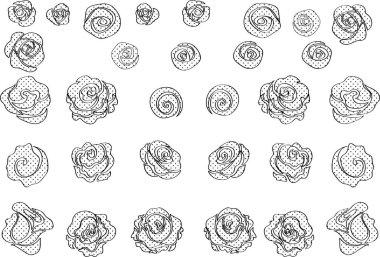 Siyah ve beyaz gül tasarımı çizen vektör 