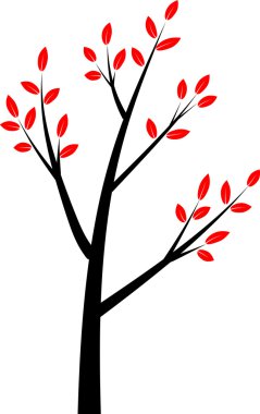  drawing beautiful tree