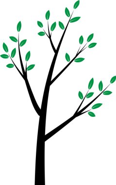  drawing beautiful tree
