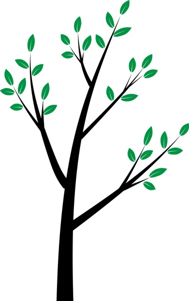 Drawing beautiful tree — Stockfoto