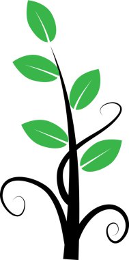 Bir bitki çiçek ve yaprak ile