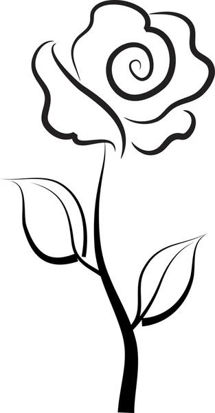 Een plant met bloem en blad — Stockfoto