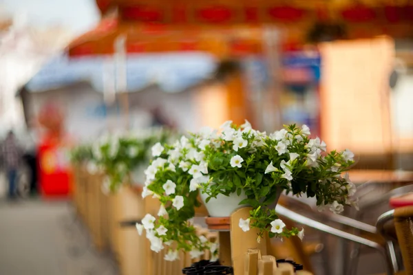Ternopil Cafe sokaklarda çiçek.