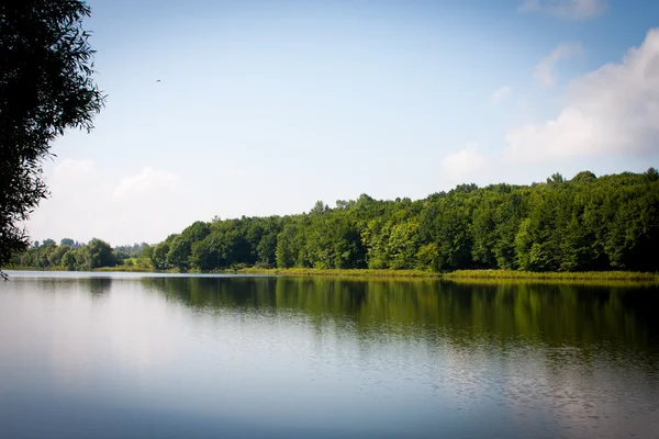 Yaz manzara nehrin Batı Ukrayna ve demiryolu ve Kıyı sisli sabahı