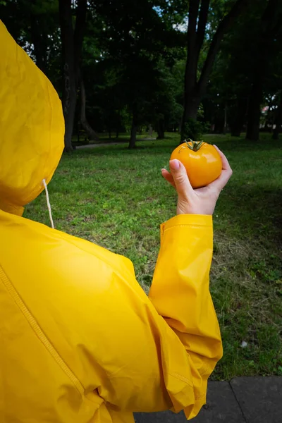 Bio-gelbe frische gelbe Tomate in einer Frauenhand in einem gelben Regenmantel. Kopierraum — Stockfoto