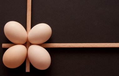 Eggseggs farklı açıları karanlık bir arka plan üzerinde